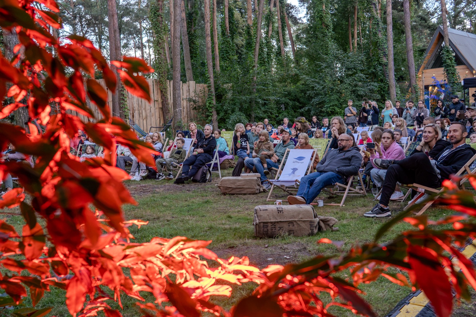 Koncert w lesie, na pierwszym planie czerwone liście
